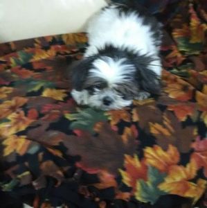 Meet your Posher, Bill